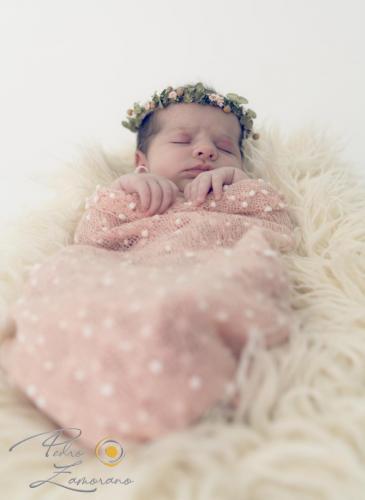 026-Newborn-Alma