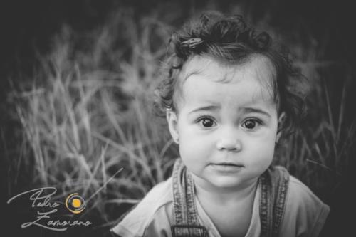 031-Familia-Noa